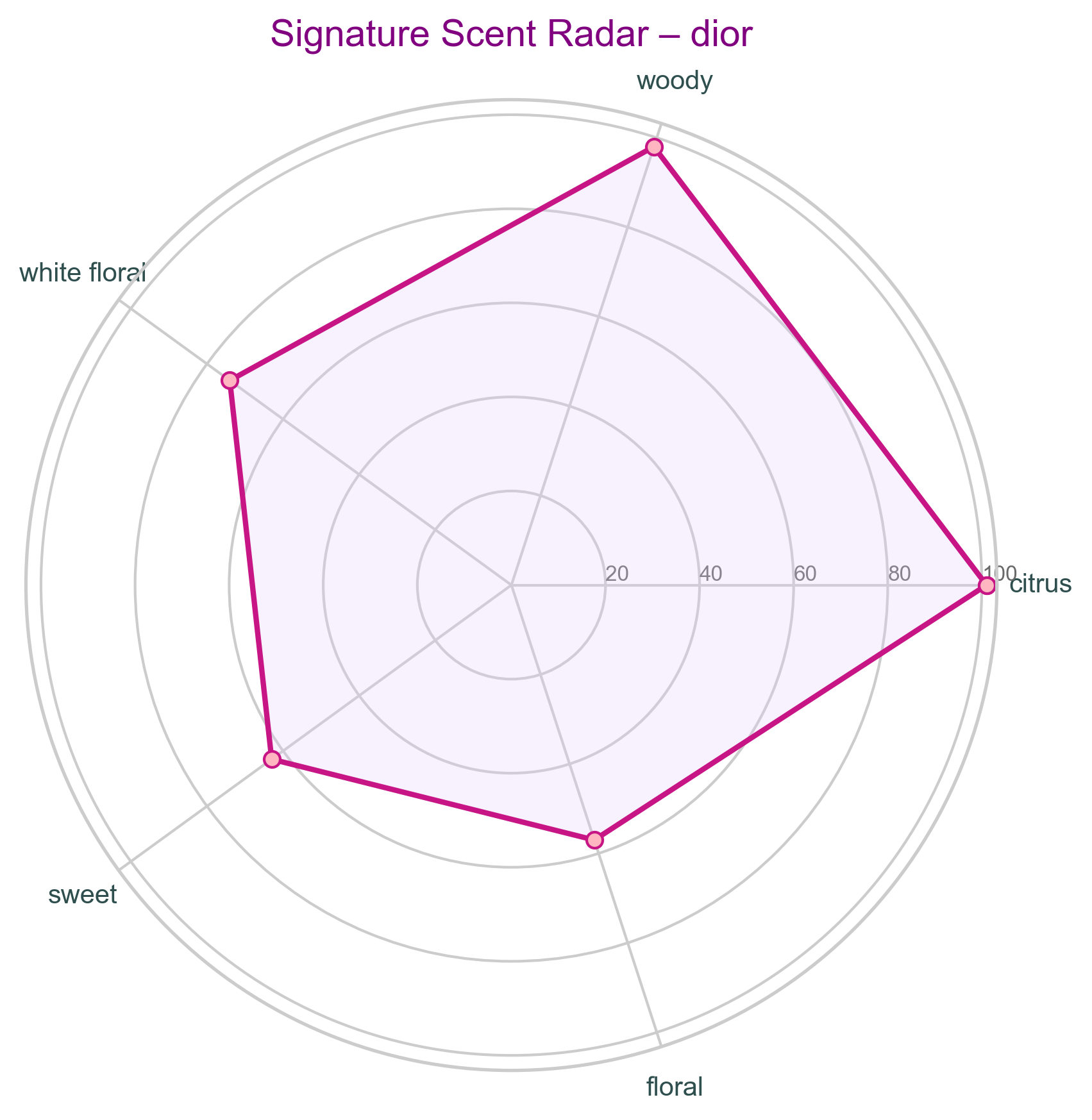 Dior Signature Scent Radar