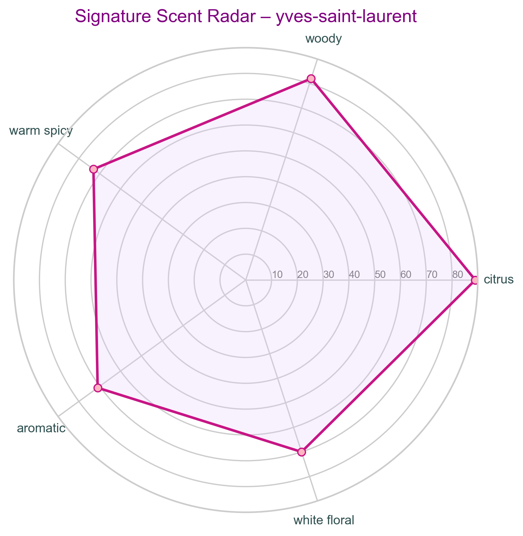 YSL Signature Scent Radar